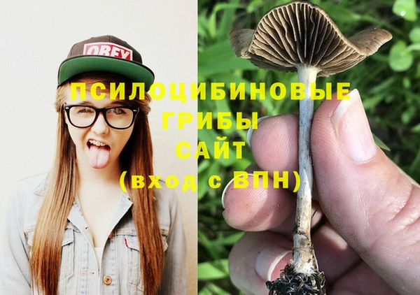 тгк Алексин