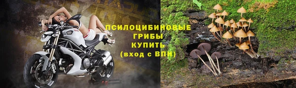 бутират Алзамай