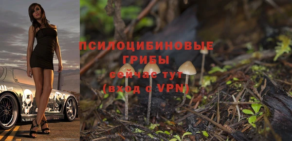 бутират Алзамай