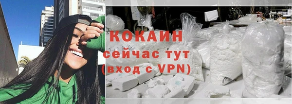 тгк Алексин